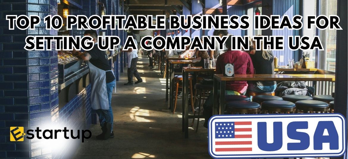 Top 10 Profitable Business Ideas for Setting Up a Company in the USA