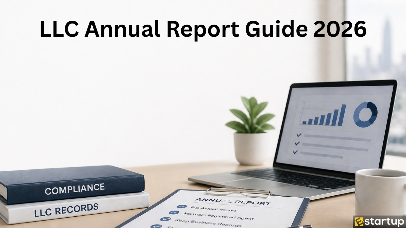 LLC Annual Report
