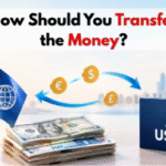Transfer Money Between Foreign Owner and US LLC
